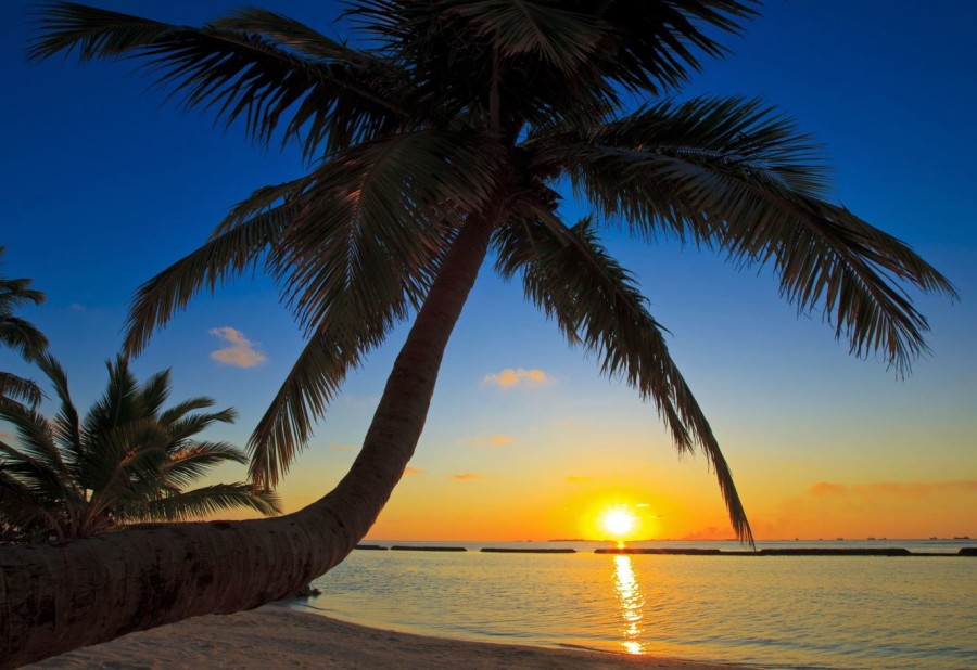 sonnenuntergang malediven 900x618 - Malediven Gewinnspiel: die schönsten Karibik Bilder