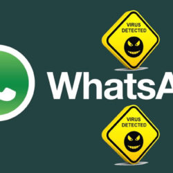 WhatsApp Virus 250x250 - WhatsApp-Virus: Finde heraus, mit wem deine Freunde chatten…