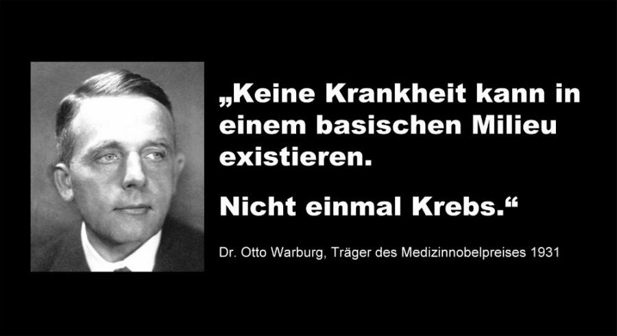 Dr Otto Warburg Krebs