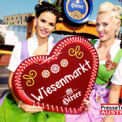 01 st veiter wiesenmarkt herz St. Veiter Wiesenmarkt Bilder 250x250 - St. Veiter Wiesenmarkt Bilder 2016