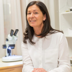 Kindergarten Sonnenschein