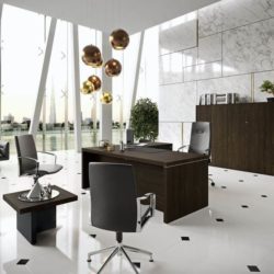 Designer Bueromoebel NEWFORM UFFICIO 1 President 250x250 - Designer Büromöbel Einrichtung Ideen